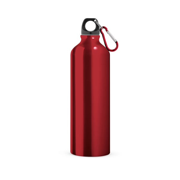 Sports Team Branded Printed 800 ml Aluminium Bottle with Carabiner